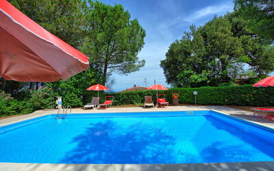 Leccino: Water, Fabriek, Eigendom, Zwembad, Wolk, Natuur, Azure, Lucht, Boom, Schaduw