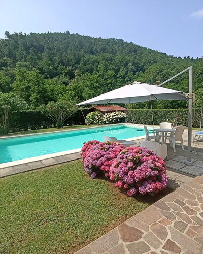 Villa Carducci: Lucht, Fabriek, Water, Eigendom, Zwembad, Paraplu, Bloem, Buitenmeubels, Schaduw, Boom