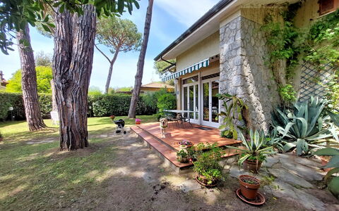 Casa La Pineta: Fabriek, Eigendom, Gebouw, Natuur, Boom, Bloempot, Lucht, Land Lot, Arecales, Gras