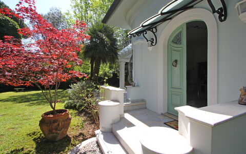 Villa Le Macchie: Fabriek, Eigendom, Bloem, Gebouw, Bloempot, Verlichting, Boom, Architectuur, Kamerplant, Schaduw