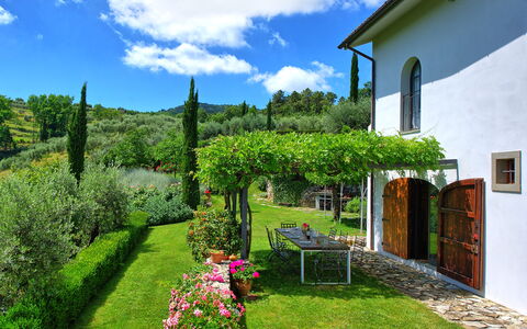 Villa Mami: Fabriek, Wolk, Bloem, Lucht, Groen, Venster, Natuurlijk Landschap, Gebouw, Land Lot, Vegetation