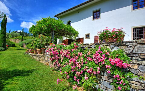 Villa Mami: Bloem, Fabriek, Lucht, Eigendom, Venster, Wolk, Groen, Gebouw, Architectuur, Boom