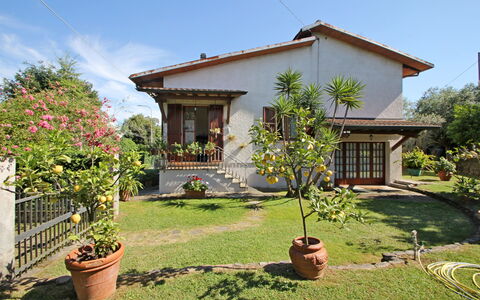 Casa Il Prato: Fabriek, Lucht, Eigendom, Bloem, Gebouw, Venster, Bloempot, Boom, Land Lot, Vegetation