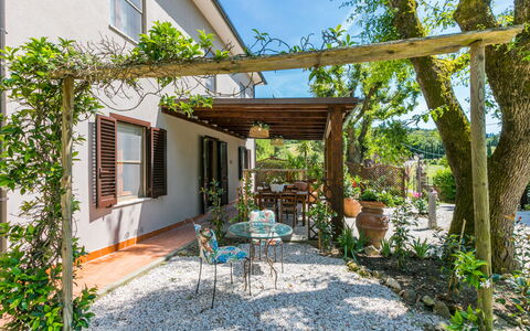 Accommodatie:&nbsp;Montaleo 200.5