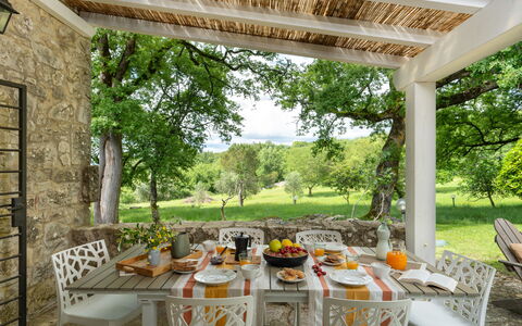 Villa Ida: Fabriek, Tafel, Meubilair, Eigendom, Stoel, Venster, Schaduw, Boom, Verlichting, Interieur Ontwerp