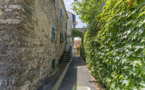 Emma House, Terrace and Sea View, Moneglia: Fabriek, Weg Oppervlak, Architectuur, Gebouw, Gras, Venster, Weg, Stad, Boom, Facade