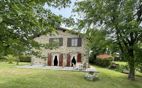 Pinocchio: Fabriek, Gebouw, Venster, Boom, Land Lot, Huis, Gras, Lucht, Verblijf, Landschap