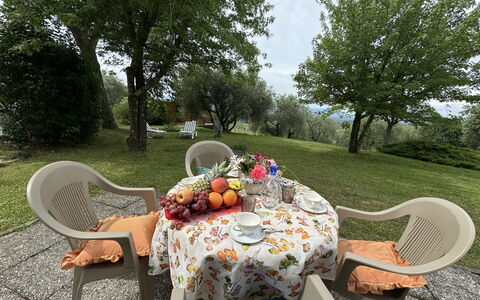 Pinocchio: Tafel, Fabriek, Meubilair, Eigendom, Stoel, Buitentafel, Tableware, Boom, Buitenmeubels, Natuurlijk Landschap