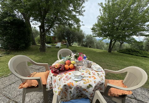 Pinocchio: Tafel, Fabriek, Meubilair, Eigendom, Stoel, Buitentafel, Tableware, Boom, Buitenmeubels, Natuurlijk Landschap