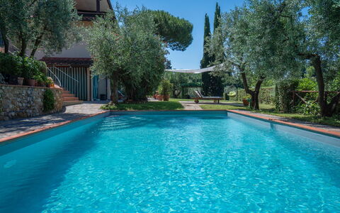 Chianti Hills Apartment, Pool, Ac: Water, Fabriek, Eigendom, Azure, Natuur, Blauw, Lucht, Zwembad, Boom, Gras