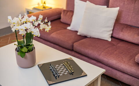 Rose's Palace: Bloem, Tafel, Meubilair, Eigendom, Fabriek, Bankstel, Wit, Interieur Ontwerp, Comfort, Geel