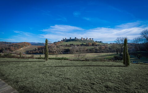 Santa Colomba House, Siena, Nature And Pool: Gras, Grasland, Landschap, Plain, Land Lot, Landelijk Gebied, Veld, Pasture, Weide, Prairie