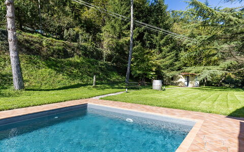 Villa Chicco: Water, Fabriek, Eigendom, Natuurlijk Landschap, Gras, Zwembad, Rechthoek, Samengesteld Materiaal, Vrije Tijd