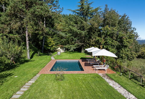 Villa Chicco: Fabriek, Lucht, Paraplu, Plantkunde, Boom, Schaduw, Land Lot, Gras, Zwembad, Vrije Tijd