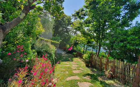 La Casa Sul Forte: Bloem, Groen, Natuur, Vegetation, Struik, Tuin, De Lente, Petal, Botanische Tuin