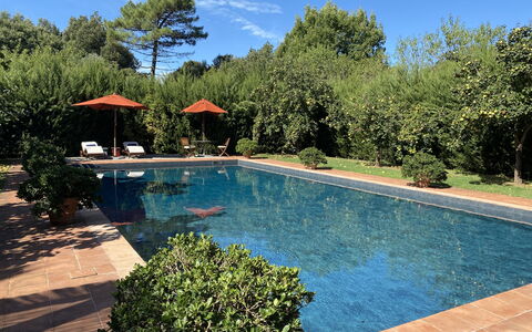 Villa Bongi: Zwembad, Toevlucht, Schaduw, Tuin, Waterpartij, Vrije Tijd, Eco Hotel, Buitenmeubels, Hacienda, Landscaping