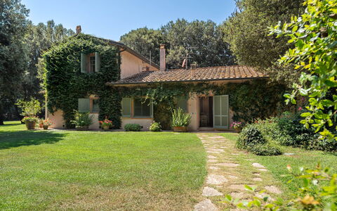 Casale Rosa: Boom, Blad, Gras, Huis, Afdeling, Huis, Vegetation, Struik, Verblijf