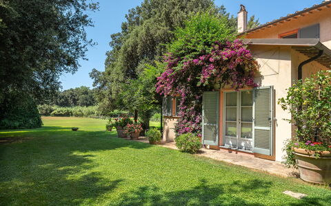 Casale Rosa: Struik, Tuin, Huis, Huis, Plantengemeenschap, Land Lot, Groundcover, Gazon, De Lente