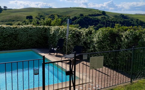 Il Bosco: Zwembad, Hek, Land Lot, Tuin, Schaduw, Gazon, Home Schermen, Backyard, Landscaping, Landgoed