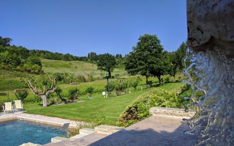 Podere della Bruciata: Struik, Tuin, Landscaping, Backyard, Zwembad, Botanische Tuin, Plantage, Waterpartij, Evergreen
