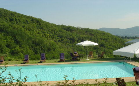 Magnolia e Camelia: Zwembad, Buitenmeubels, Vrije Tijd, Toevlucht, Eco Hotel, Heuvel Station, Ligstoel, Badplaats, Paraplu, Landscaping