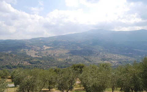 Poggio Aperto: Bergachtig Landvormen, Berg, Heuvel, Vegetation, Hoogland, Natuurlijk Landschap, Ecoregio, Landschap, Heuvel Station, Plantengemeenschap