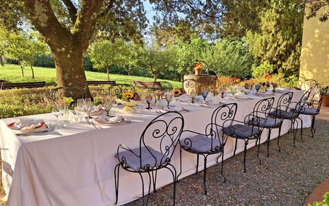 La Palazzina: Meubilair, Tafel, Tafelkleed, Stoel, Buitentafel, Tuin, Buitenmeubels, Linens, Restaurant