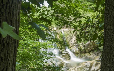Mulino della Frateria: Watervoorraden, Water, Zwemwater, Natuur, Natuurlijke Omgeving, Natuurlijk Landschap, Afdeling, Stroom, Waterloop, Vegetation