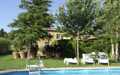 Casalunga: Zwembad, Struik, Tuin, Buitenmeubels, Backyard, Landscaping, Schaduw, Eco Hotel, Hacienda