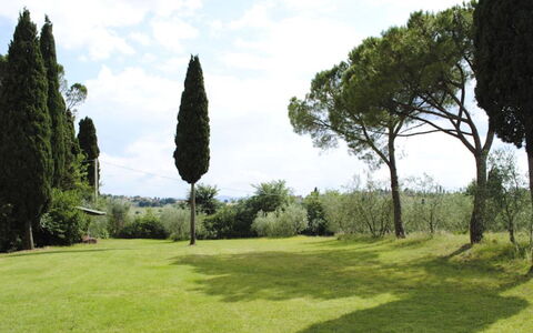 Villa Il Poggio: Gras, Boom, Blad, Afdeling, Struik, Land Lot, Grasland, Plain, Trunk
