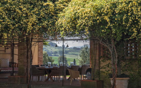 Villa Moscato: Tuin, Schaduw, Kamerplant, Backyard, Bloempot