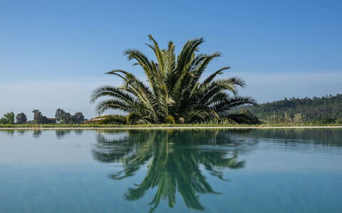 Villa Moscato: Blauw, Water, Zwemwater, Reflectie, Meer, Zwembad, Reservoir, Tropen, Reflecting Pool