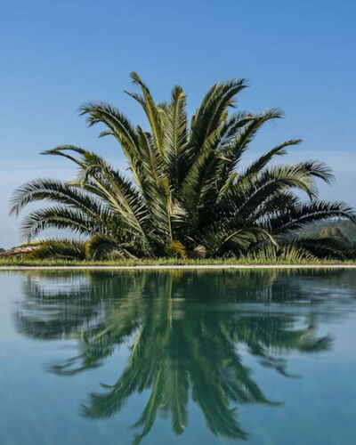 Villa Moscato: Blauw, Water, Zwemwater, Reflectie, Meer, Zwembad, Reservoir, Tropen, Reflecting Pool