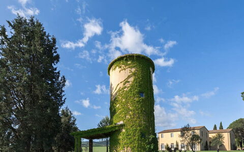 Villa Il Serraglio: Gras, Struik, Land Lot, Veld, Tuin, Gazon, Weide, Landscaping, Landgoed, Plantage