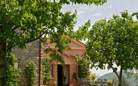 Villa Savino: Blad, Struik, De Lente, Tuin, Schaduw, Plantage