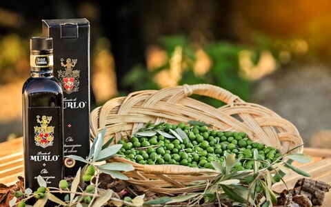 Villa Savino: Fles, Wijn, Glazen Fles, Voedsel, Produceren, Natuurlijke Voedingsmiddelen