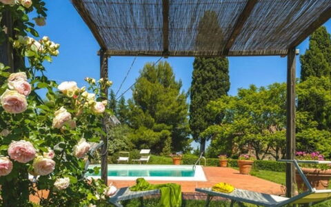 Podere Contignano: Struik, Tuin, De Lente, Landscaping, Schaduw, Backyard, Werf, Eco Hotel, Hacienda, Botanische Tuin