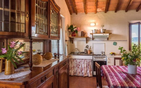 Podere del Mezzadro: Meubilair, Hout, Interieur Ontwerp, Flooring, Tafel, Huis, Cabinetry, Keuken En Eettafel, Kamer, Keuken