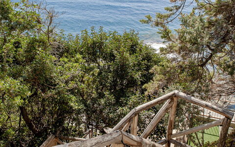 Vistamare: Hout, Leuning, Zee, Kust, Kust En Oceanic Landvormen, Oceaan, Trap, Kust, Hek, Tropen