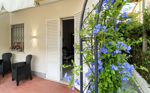 Casa Liliana Ac, Wifi, Forte Dei Marmi: Bloempot, Kamerplant, Schaduw, Buitenmeubels, Stoel, Home Deur, Veranda, Buitentafel, Balkon, Binnenplaats