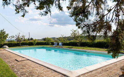 Poggio Padule: Zwembad, Samengesteld Materiaal, Toevlucht, Tuin, Schaduw, Waterpartij, Landscaping, Eco Hotel, Buitenmeubels, Backyard