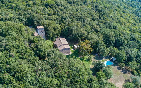 Villa Linchiano: Boom, Natuurlijke Omgeving, Natuur, Vegetation, Woud, Plantengemeenschap, Landelijk Gebied, Jungle, Landgoed