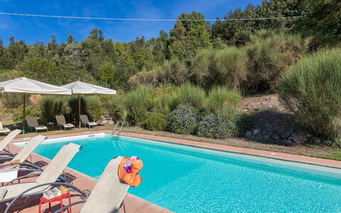 Villa Belvedere: Zwembad, Toevlucht, Buitenmeubels, Ligstoel, Eco Hotel, Landscaping, Thermae, Hotel, Hacienda, Chaise Longue