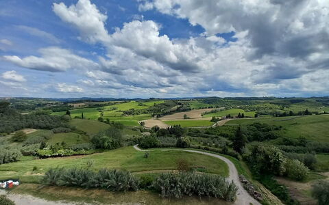 Ely Apartment In Villa, Wifi, Terricciola, Pisa: Lucht, Wolk, Natuurlijk Landschap, Grasland, Horizon, Plain, Ecoregio, Landschap, Veld, Land Lot