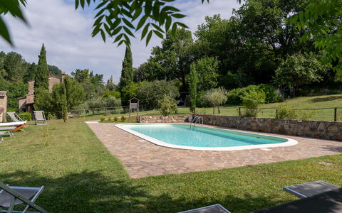 Montaione Country House Amarrante, Pool, Ac: Struik, Zwembad, Tuin, Backyard, Schaduw, Gazon, Landscaping, Landgoed, Werf, Boerderij
