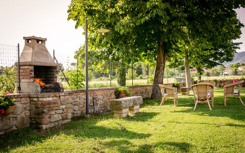 Villa Gelsi: Tuin, Gazon, Schaduw, Buitenmeubels, Werf, Landscaping, Backyard, Park, Stoel, Eco Hotel