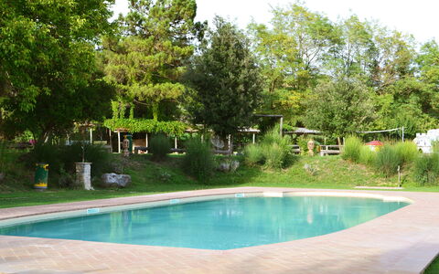 Appartamento Vele, Wifi, Near Perugia: Zwembad, Boom, Toevlucht, Schaduw, Tuin, Buitenmeubels, Vrije Tijd, Backyard, Landscaping, Waterpartij