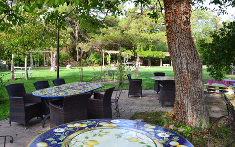 Appartamento Vele, Wifi, Near Perugia: Meubilair, Tafel, Buitenmeubels, Stoel, Tuin, Buitentafel, Schaduw, Gazon, De Lente, Backyard