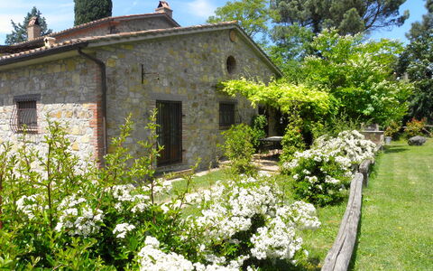 Appartamento Poggiolo, Wifi, Near Perugia: Struik, Tuin, Verblijf, De Lente, Groundcover, Landscaping, Backyard, Werf, Boerderij