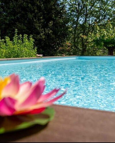 Casale La Pieve: Water, Zwembad, Tuin, Landscaping, Toevlucht, Waterpartij, Eco Hotel, Botanische Tuin, Backyard